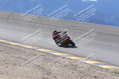 media/Dec-15-2023-Apex Assassins (Fri) [[91f19fb1c7]]/Trackday 1/Session 2 (Bowl)/